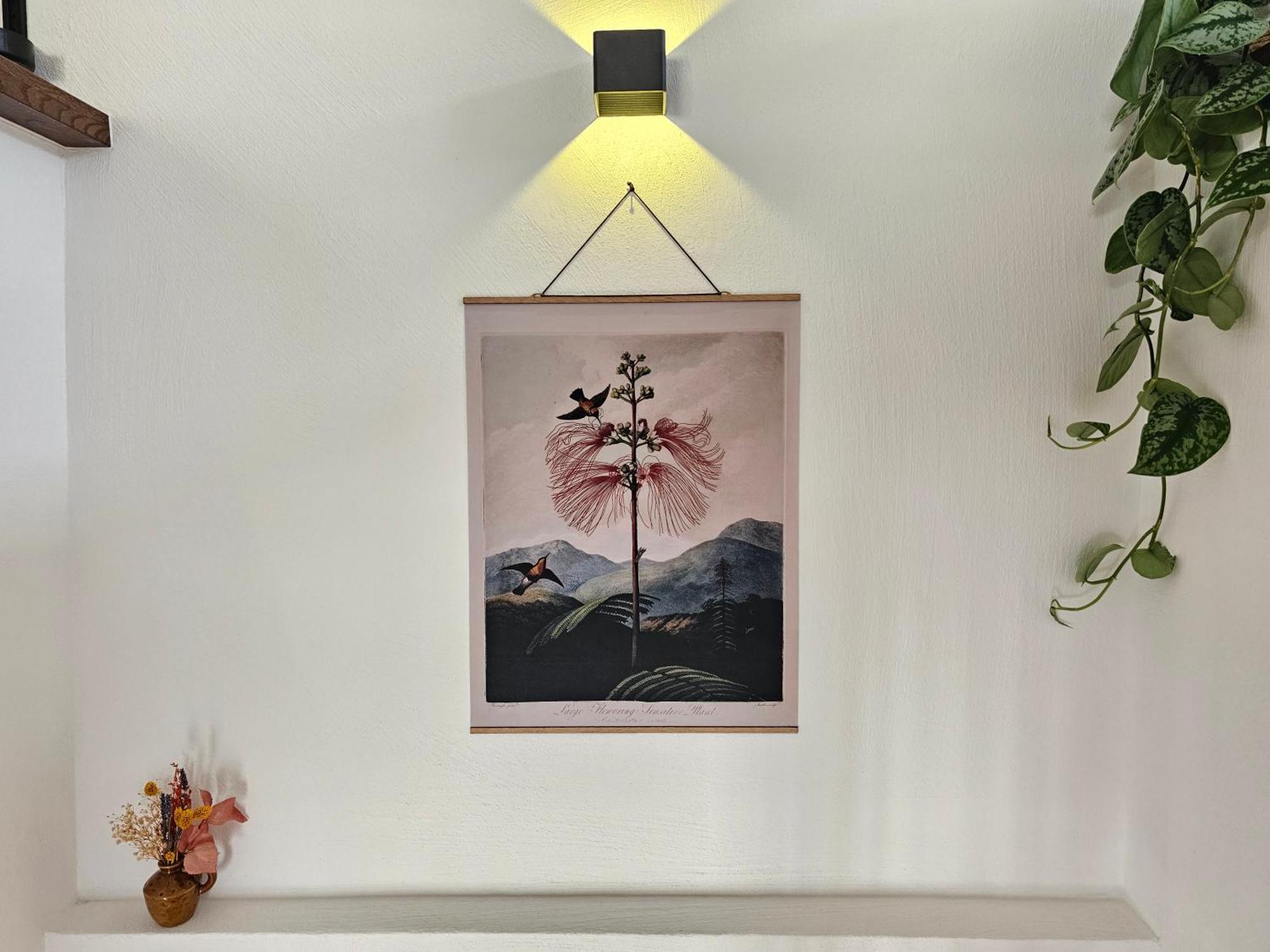 Kolibri - Design Maisonette - Nintendo Switch, Streaming, Bikestore, E-Wallbox Marburg Exterior photo